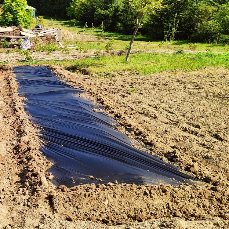 BIOCover materiał w pełni biodegradowalny i kompostowalny gleba ogródek