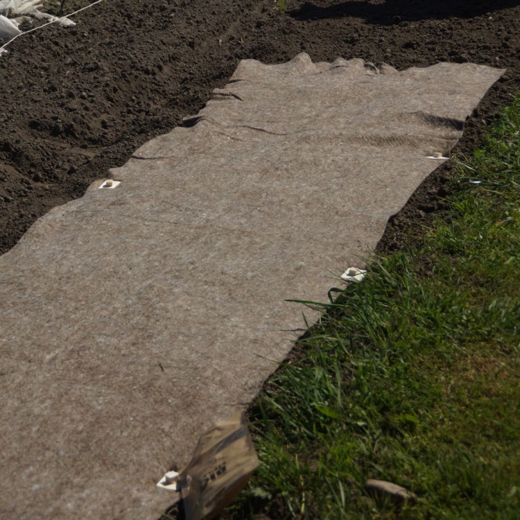 BIOwełna rozłożona.JPG