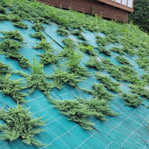 agrola-zielona skarpa.jpg