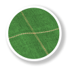 agrola-zielona.png