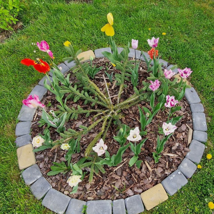 Agrowłóknina ściółkująca ściółkowanie kwiatów.jpg