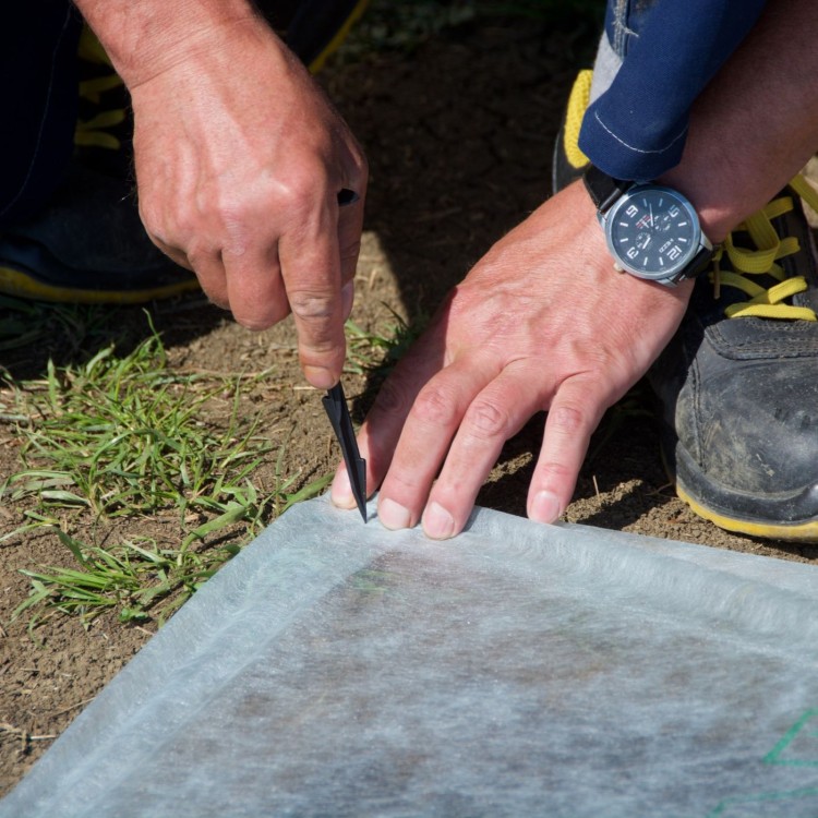 Agrokotwa czarna zastosowanie.jpg