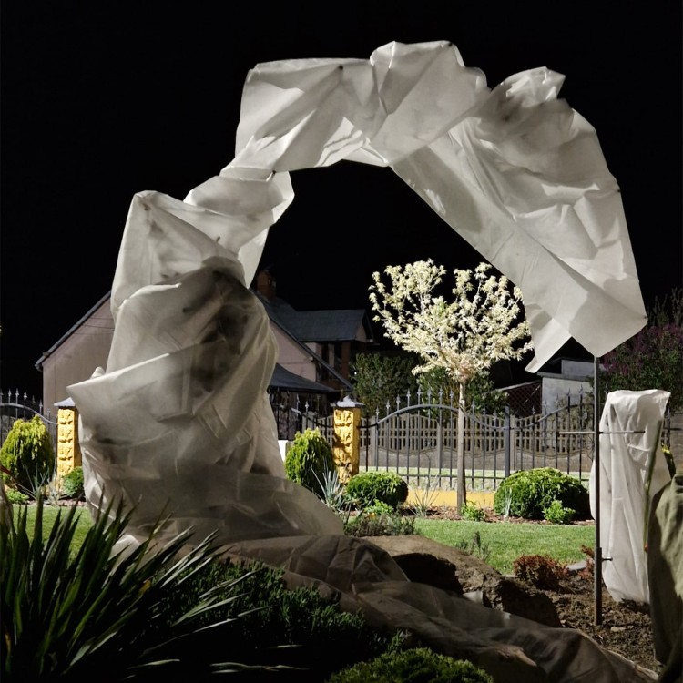 Osłaniająca zimowa 50g pergola z różami.jpg