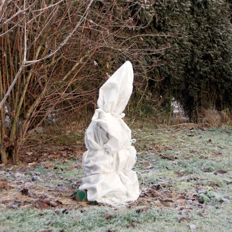 Osłona krzewu przed chłodem.jpg