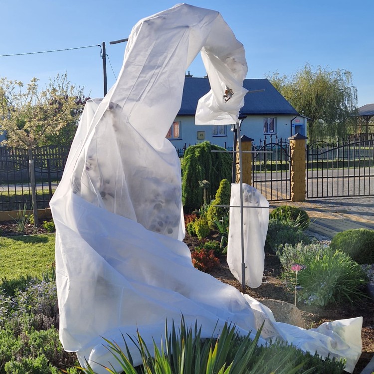 Pergola osłaniająca zimowa 50g róże.jpg