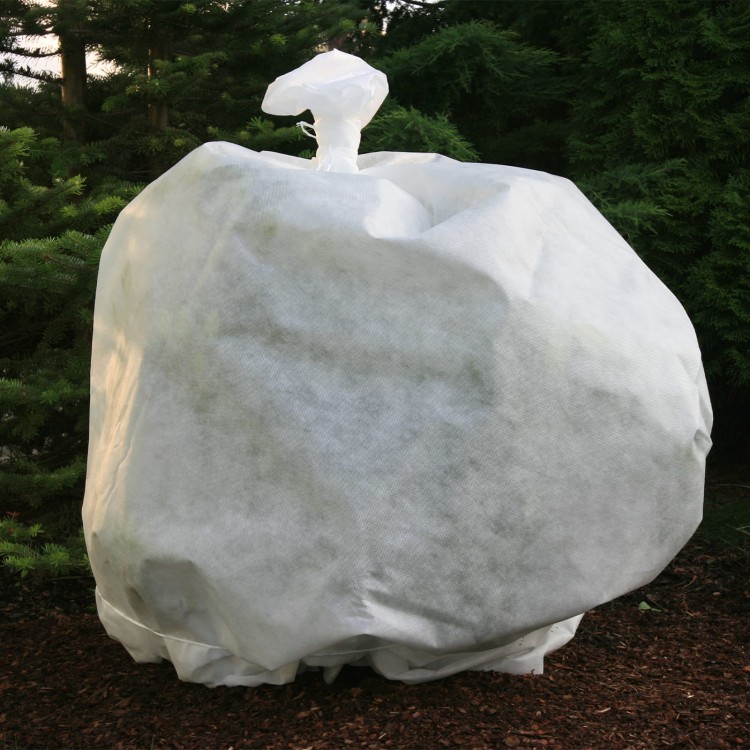 Agrowłóknina 50g zabezpieczenie krzewu.jpg