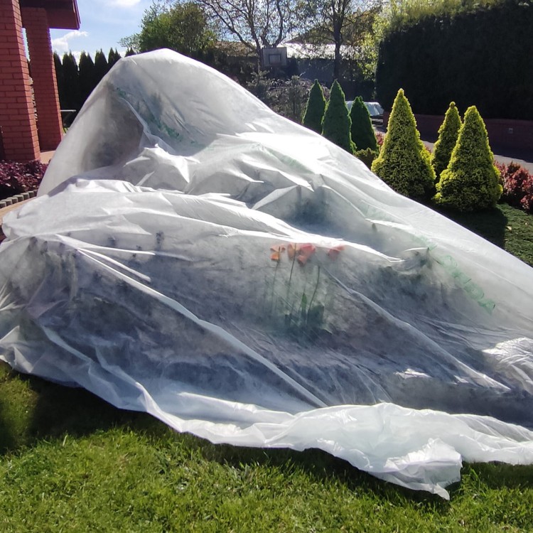 Agrowłóknina osłaniająca 19g podczas przymrozków.jpg