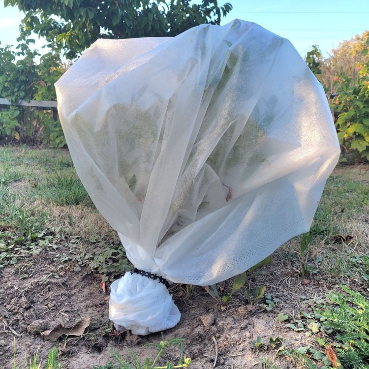 AGROopaska w mocowaniu rękawa.jpg