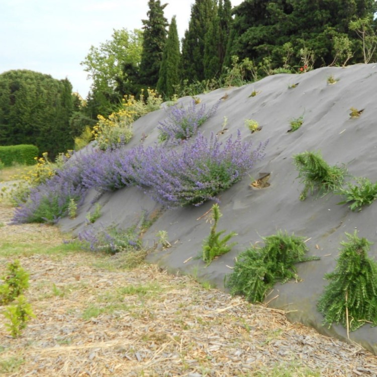 BIOwłóknina zastosowana do umocnienia skarp.jpg