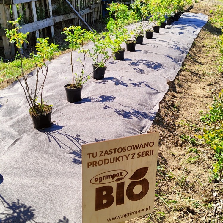 BIOwłóknina zastosowana do ściółkowania miejsca pod donice.jpg