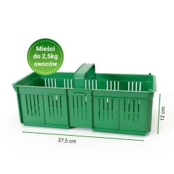 Zielona łubianka.jpg