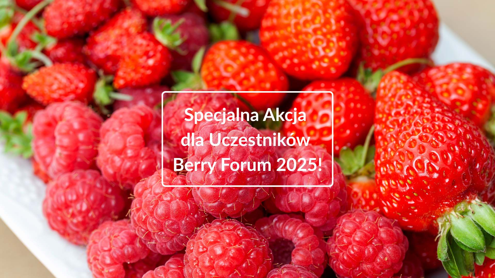 Zdobądź 10% rabatu na Agrowłókninę Puszystą - akcja rabatowa dla uczestników Berry Forum 2025